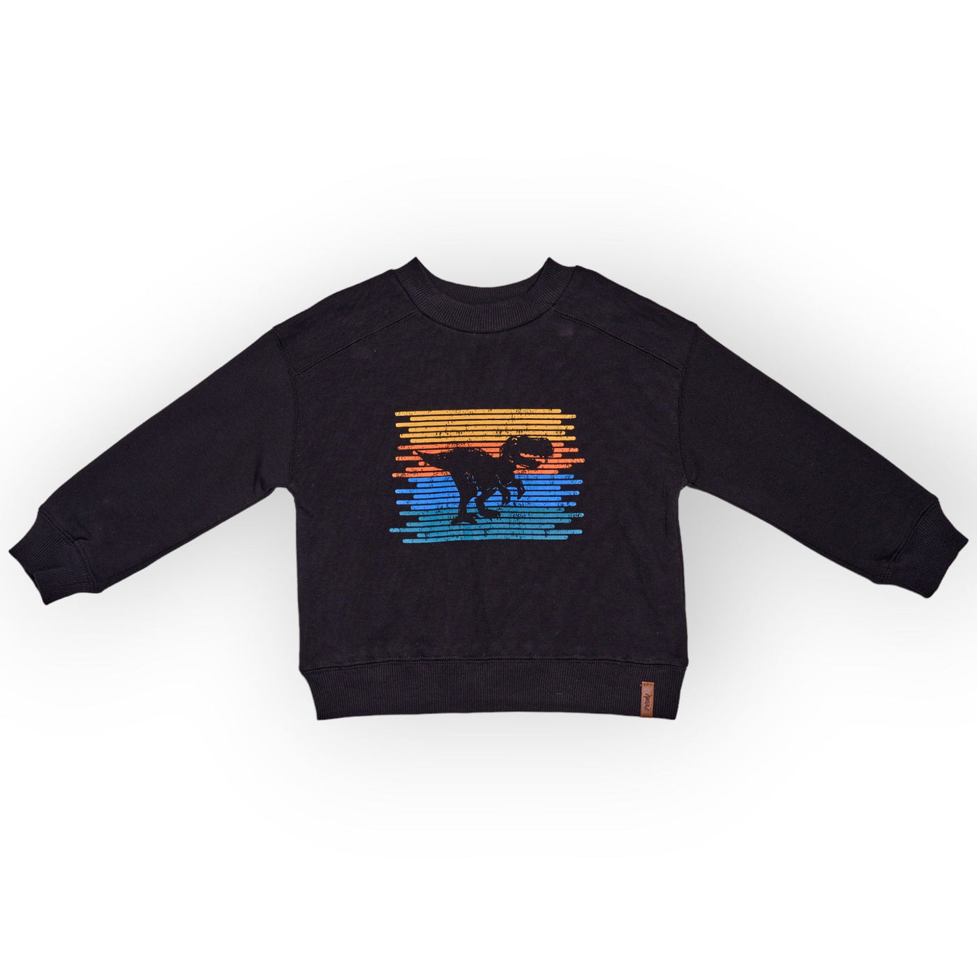 Fleece Dino Sweatshirt